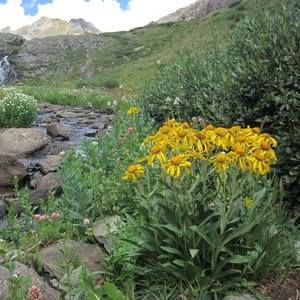 Meet your Posher, Connie